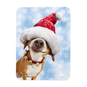 Íman Cachorro Com Grande Chapéu De Papai Noel