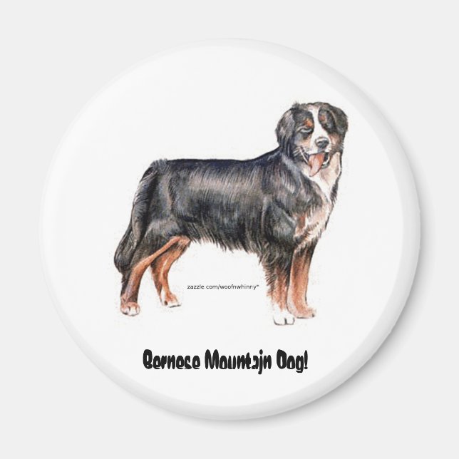 Íman Cachorro da Montanha Bernese (Frente)