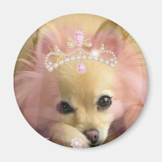Íman cachorro da princesa fada com coroa de diamante