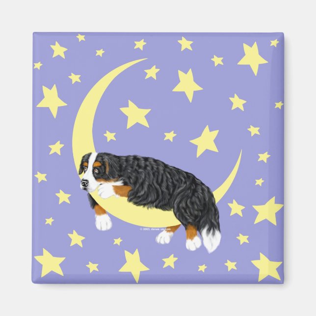 Íman Cachorro das Montanhas Bernese Twinkle Magnet (Frente)