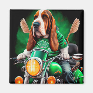 Íman Cachorro de Basset dirigindo Rua de bicicleta. Dia