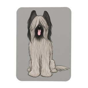 Íman Cachorro de Cartoon Briard