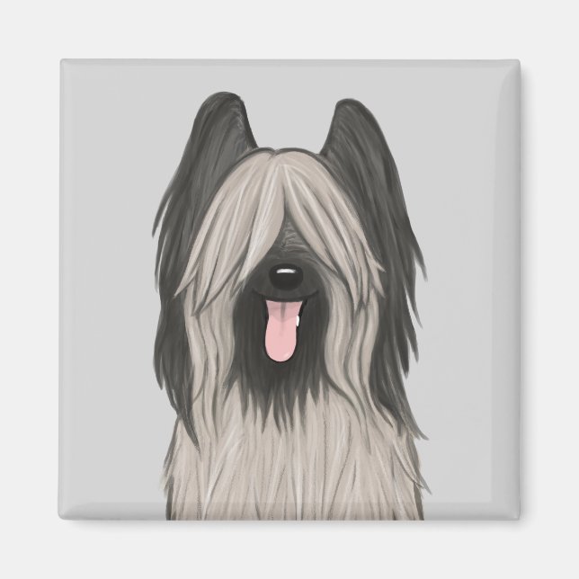 Íman Cachorro de Cartoon Briard (Frente)