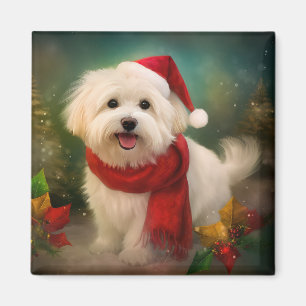 Íman Cachorro de Coton de Tulear no Natal da Neve