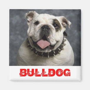 Íman Cachorro de Estimação Bulldog Inglês Amor