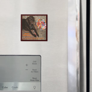 Íman Cachorro de Halloween com dente doce