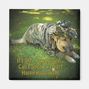 Íman Cachorro de Halloween em Camouflage