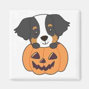 Íman Cachorro De Montanha Bernese Em Cachorros De Pumpk
