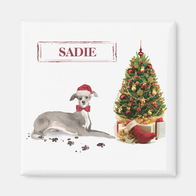Íman Cachorro de Natal Engraçado Italiano Greyhound (Frente)
