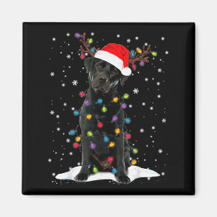 Íman Cachorro de pijama com luz de árvore de Natal Labr