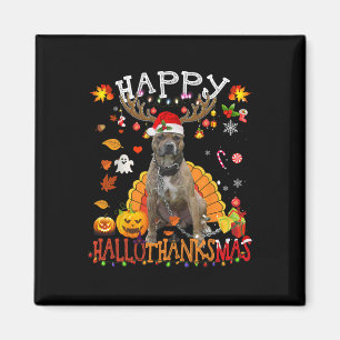 Íman Cachorro de Pitbull Cachorro de Halloween Cachorro