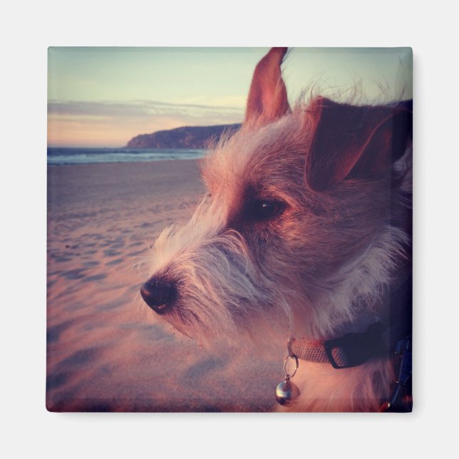 Íman Cachorro Diante Da Praia (Frente)