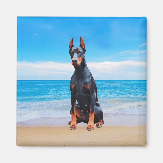 Íman Cachorro Doberman Sentado Na Praia (Frente)