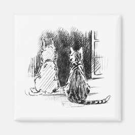 Íman Cachorro e Gato Olhando para a Janela, Simpatia Pe