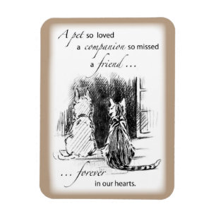 Íman Cachorro e Gato Olhando para a Janela, Simpatia Pe