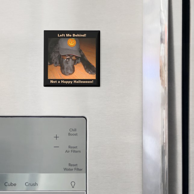 Íman Cachorro Engraçado Deixado Para Trás Deste Hallowe (In Situ (Fridge))