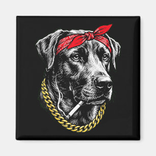 Íman Cachorro engraçado fumando cigarro labrador retrie