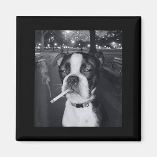 Íman Cachorro Engraçado Fumando Meme Cigarro Geração Z 