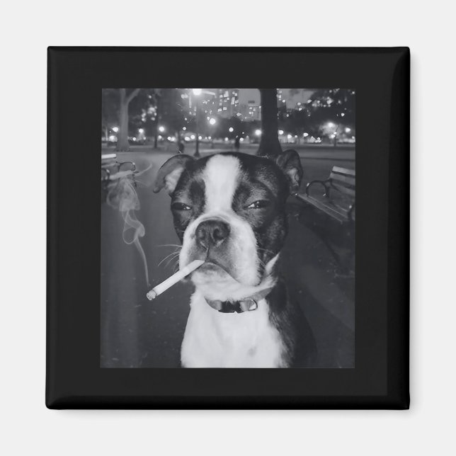 Íman Cachorro Engraçado Fumando Meme Cigarro Geração Z  (Frente)