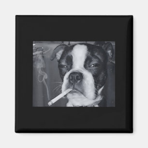 Íman Cachorro Engraçado Fumando Meme Cigarro Geração Z