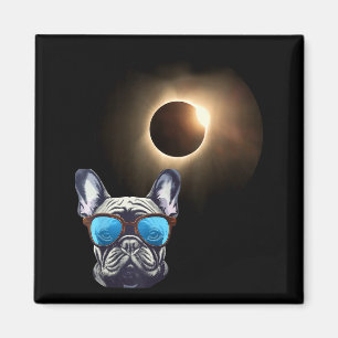 Íman Cachorro Engraçado Legal Usando Óculos de Sol Assi