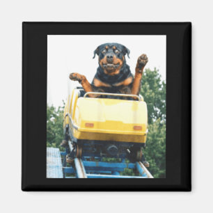 Íman Cachorro Engraçado Montanha-Russa Meme Gráfico Bob