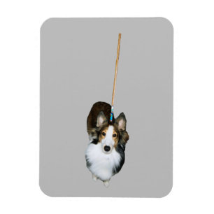 Íman Cachorro Esfregão