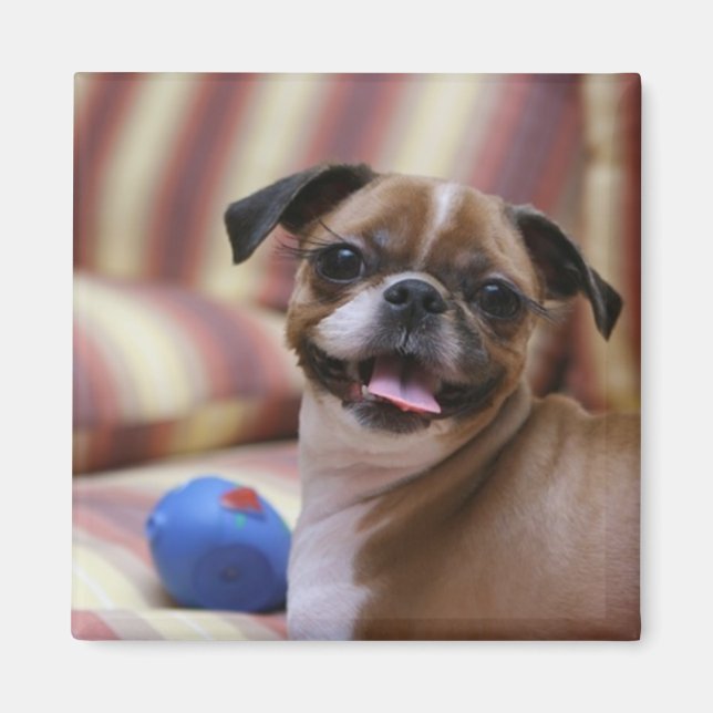 Íman Cachorro Feliz com Brinquedo (Frente)