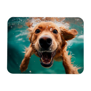 Íman Cachorro Feliz da Raça Golden Retriever Nadar Deba