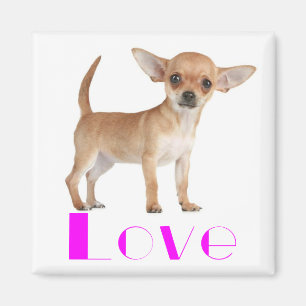 Íman Cachorro Filhote Chihuahua - Amor Rosa Orelhas Gra