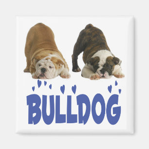 Íman Cachorro Filhote de Bulldog Inglês Amor