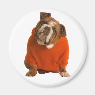 Íman Cachorro Filhote de Bulldog Inglês Amor