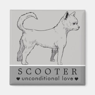 Íman Cachorro Filhote Pet Nome Personalizado