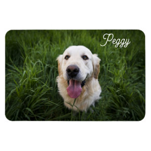 Íman Cachorro Fotográfico Adicionar Nome Fácil Modelo P