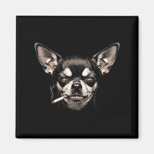 Íman Cachorro Fumando Cigarro Engraçado Chihuahua Meme 