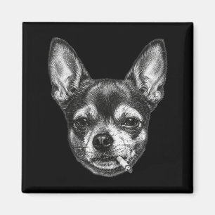 Íman Cachorro Fumando Cigarro Meme Engraçado Chihuahua 