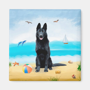 Íman Cachorro German shepherd Negro na praia