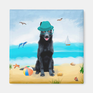 Íman Cachorro German shepherd Negro na praia