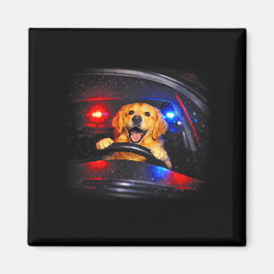 Íman Cachorro golden retriever dirigindo meme cachorro