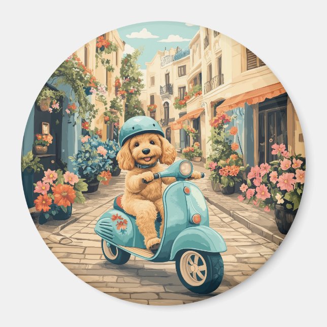 Íman Cachorro Goldendoodle andando de scooter pelas rua (Frente)