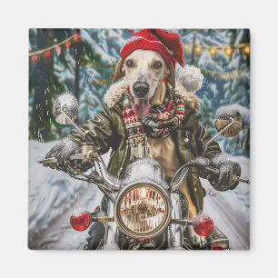 Íman Cachorro Greyhound Pilotando Moto Natal