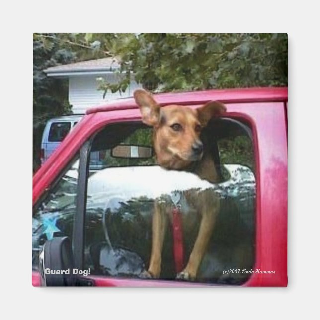 Íman Cachorro guarda! (Frente)