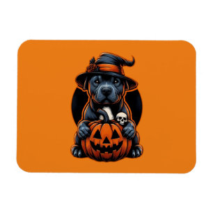 Íman Cachorro Halloween - Bruxa Pitbull