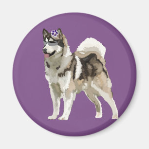 Íman Cachorro Husky com ímã de foto de flor