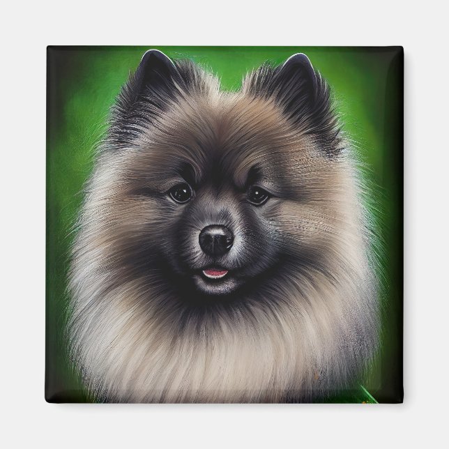 Íman Cachorro Keeshond na Rua. (Frente)