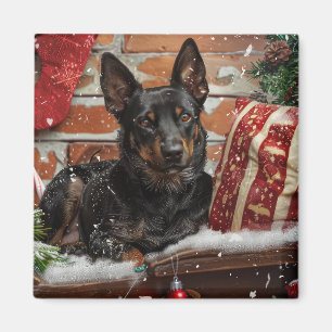Íman Cachorro Kelpie Australiano Natal Festivo
