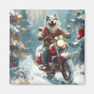 Íman Cachorro Malamute do Alasca Pilotando Motocicleta