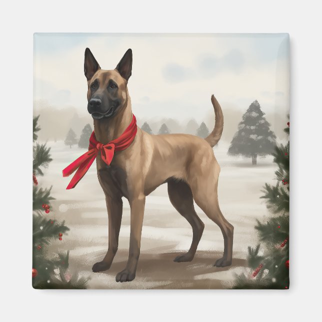 Íman Cachorro Malinois belga no Natal da neve (Frente)
