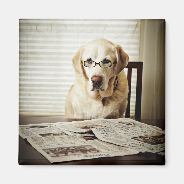 Íman Cachorro na rotina matinal (Frente)