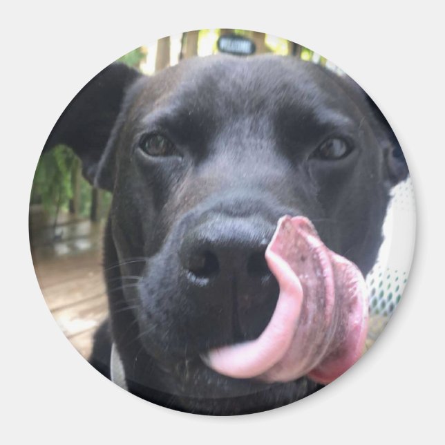 Íman Cachorro Negro (Frente)
